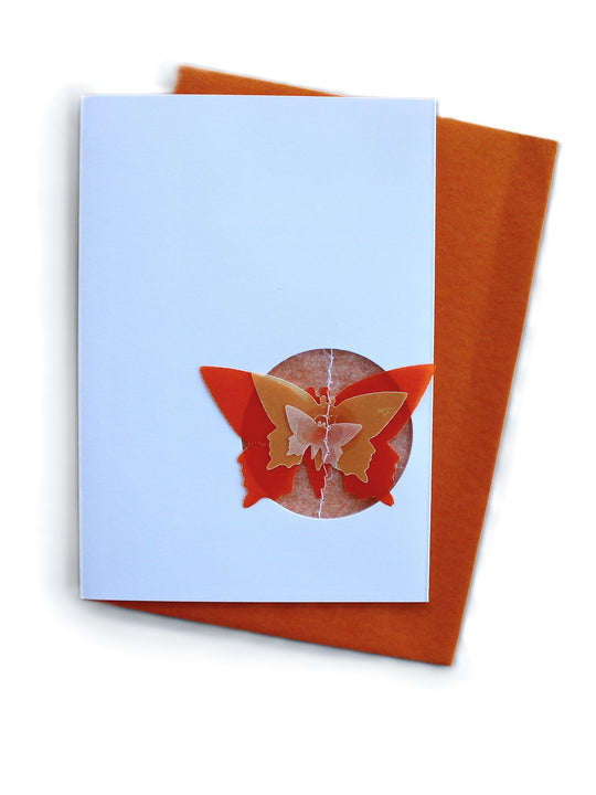 Schmetterling